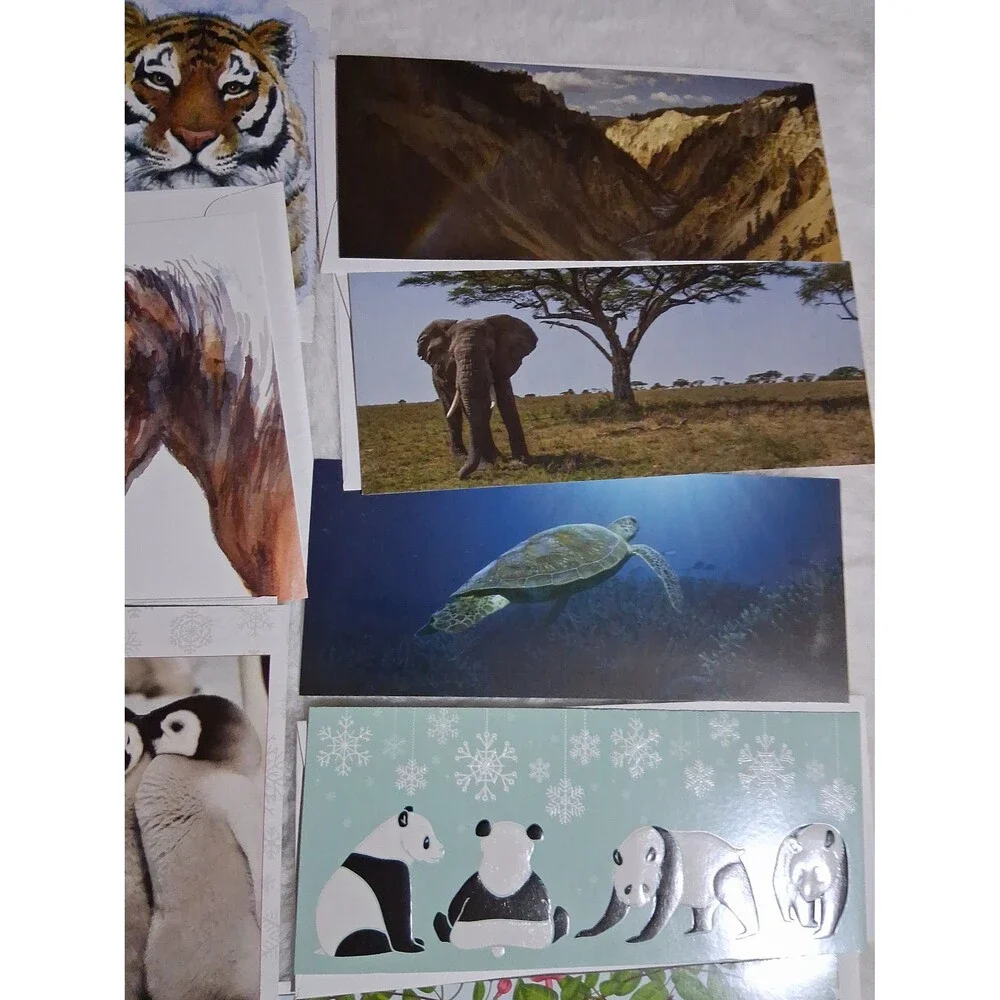 Vintage greeting cards/envelopes National geographic, world wild life, 26 pieces